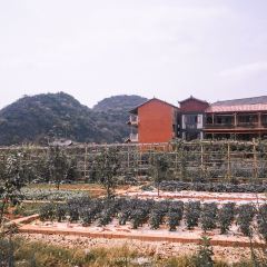 汇景农庄 User Photo