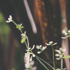 荖猎户·中华原烹雅宴艺术餐厅 User Photo