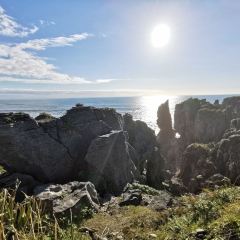 Punakaiki Tavern 여행 사진