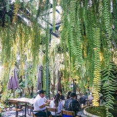 Fernpresso Cafe User Photo