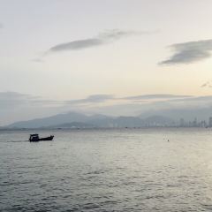 MP Thai User Photo