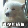 user-icon