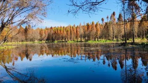 Laoyuhe Wetland Park attraction in Kunming
