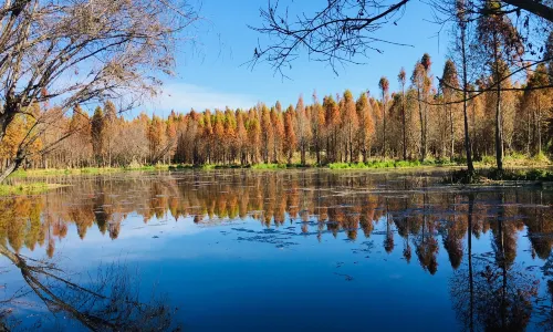 Laoyuhe Wetland Park