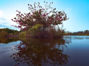 Haiwei Wetland Park