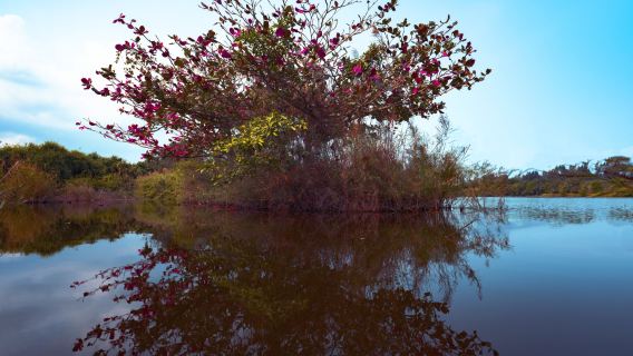 Haiwei National Wetland Park