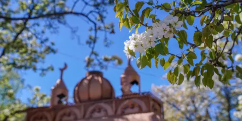 貴德古城