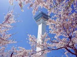 Goryōkaku Tower