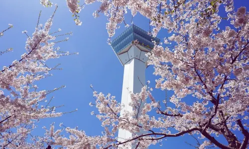 Goryōkaku Tower