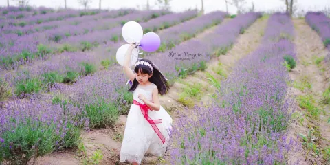 上海薰衣草公園