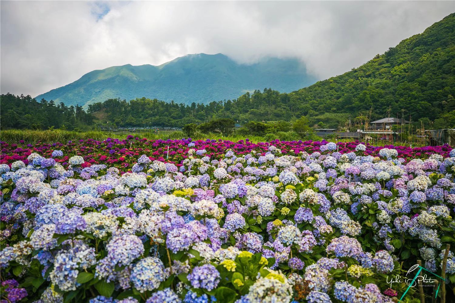 Yangmingshan National Park