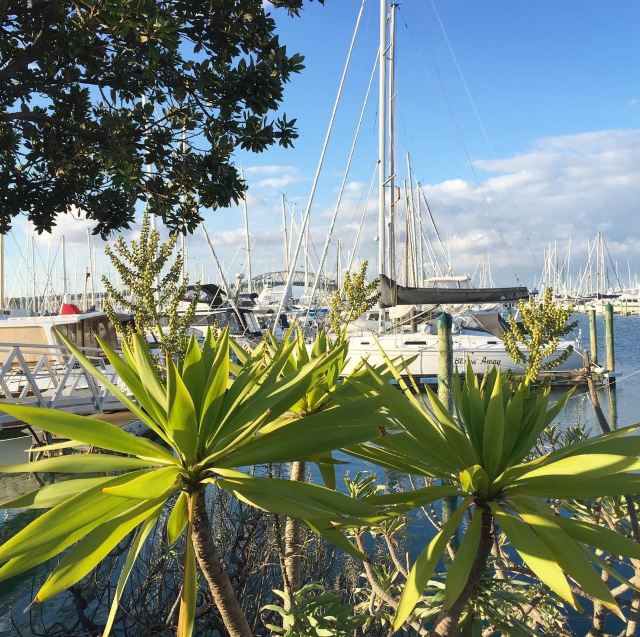 Westhaven Promenade