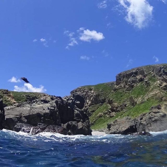 South Solitary Island