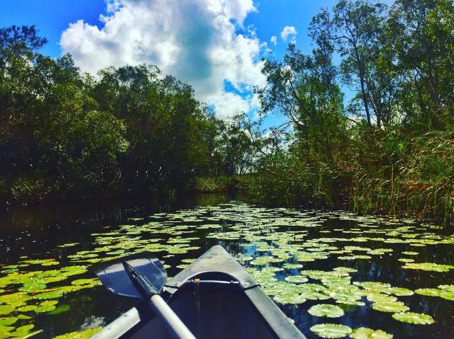 Everglades