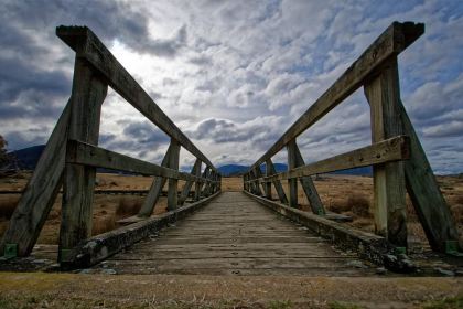 Monster Kitchen and Bar