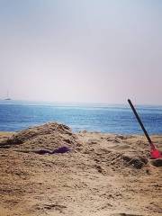 Sandy Hook Beach