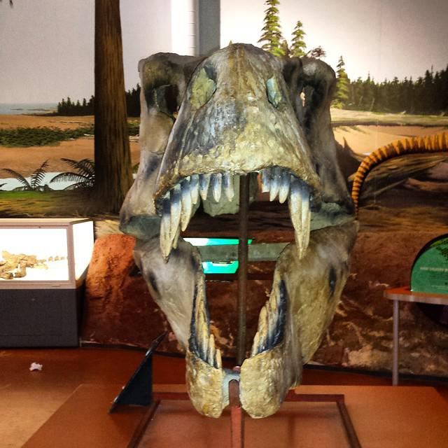 Dinosaur Isle