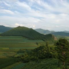 SHUN LU FAN DIAN User Photo