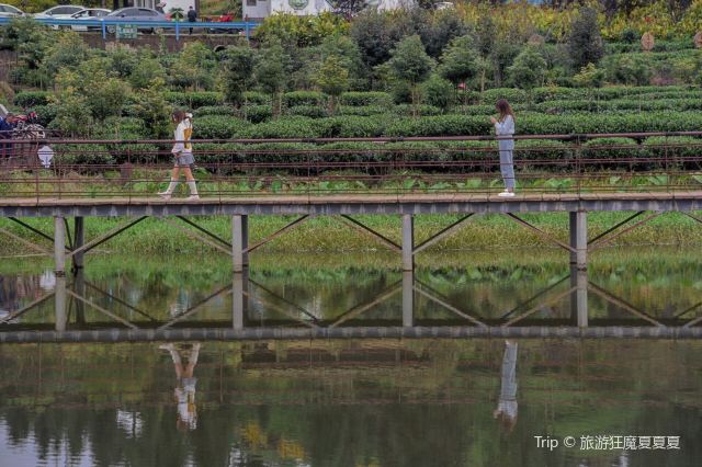 Qingyihu Tourism Scenic Area