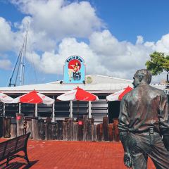 Half Shell Raw Bar User Photo