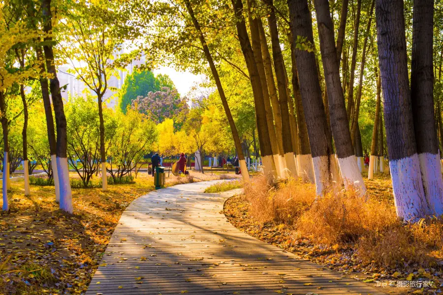 Qinhuang Botanical Garden