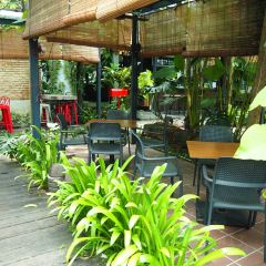 RainForest Coffee Bean User Photo