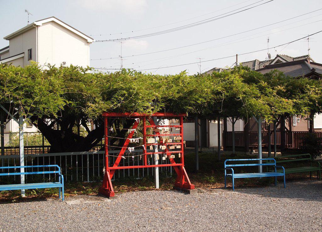 菖蒲神社旅遊攻略指南 菖蒲神社評價 菖蒲神社附近推薦 Trip Com 菖蒲神社旅遊攻略指南 菖蒲神社評價 菖蒲神社附近推薦 Trip Com