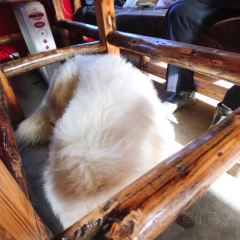 黑帐篷咖啡 User Photo