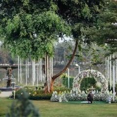 Manorom User Photo