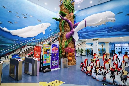 芜湖大白鲸海洋公园景点图片