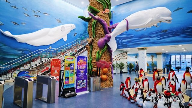 Macrolink Beluga Ocean Park