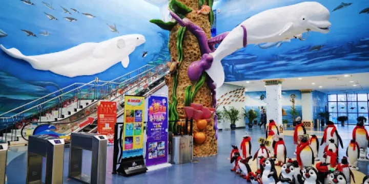 蕪湖新華聯大白鯨海洋公園