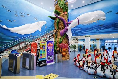 Macrolink Beluga Ocean Park