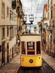 Elevador de Bica