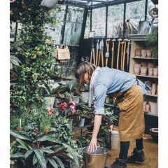 Petersham Nurseries Cafè張用戶圖片