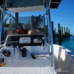 Staniel Cay Yacht Club Restaurant 여행 사진