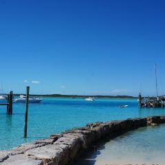Staniel Cay Yacht Club Restaurant 여행 사진