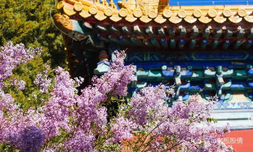 Zhongshan Park
