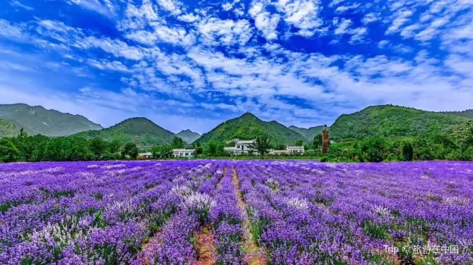 สวนป่าเทียนหลิวซานมณฑลส่านซี
