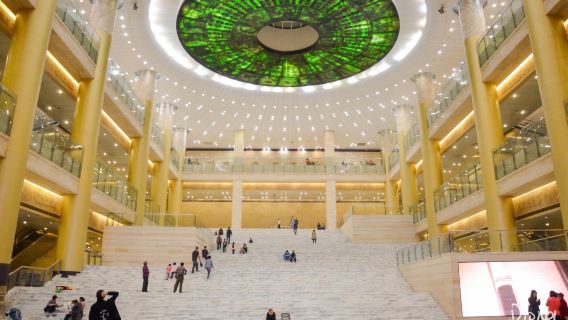 Museo Shandong de Jinan: Visita guiada en profundidad de 2 horas (excursión de medio día)