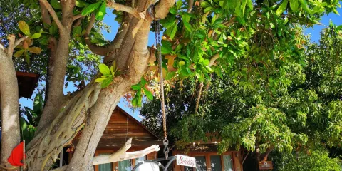 On The Rocks Restaurant at Serendipity