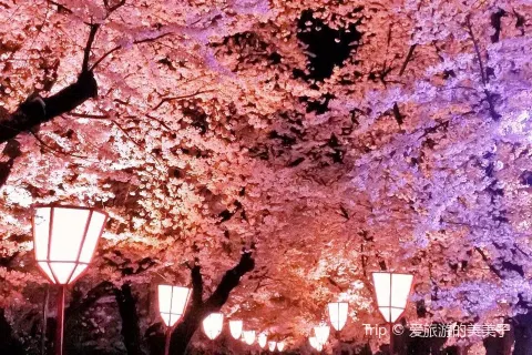 Maizuru Park
