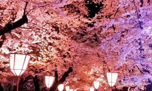 Maizuru Park
