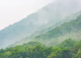 Yushan Scenic Spot