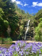 Waterfall Gully