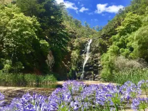 Waterfall Gully