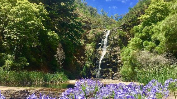 Waterfall Gully