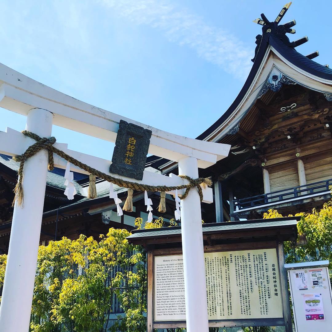 岩國白蛇神社景點評價 岩國白蛇神社門票 岩國白蛇神社優惠 岩國白蛇神社交通 地址 開放時間 岩國白蛇神社附近景點 酒店及美食 Trip Com