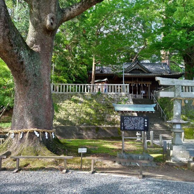 事任八幡宮景點 掛川市旅遊評論 旅行指南 Trip Com 事任八幡宮景點 掛川市旅遊評論 旅行指南 Trip Com
