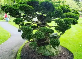Irish National Stud & Gardens